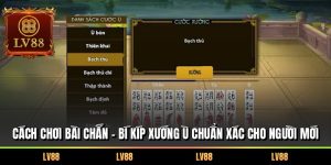 Cách Chơi Bài Chắn – Bí Kíp Xướng Ù Chuẩn Xác Cho Người Mới
