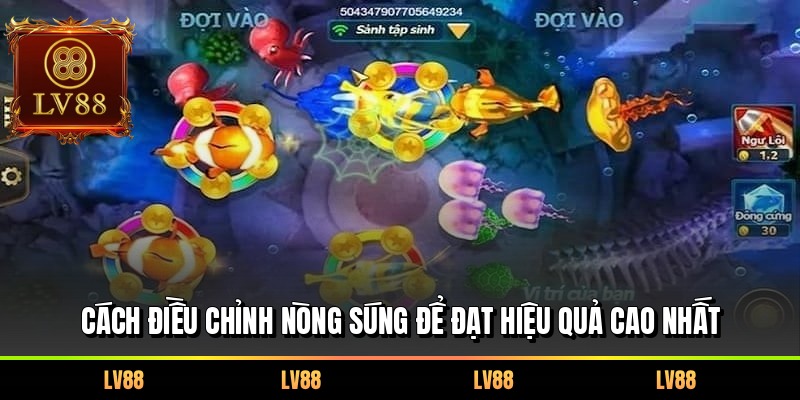 Cách điều chỉnh nòng súng để đạt hiệu quả cao nhất 