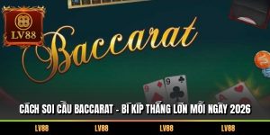 Cách Soi Cầu Baccarat – Bí Kíp Thắng Lớn Mỗi Ngày 2026