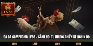 Đá Gà Campuchia LV88 – Sảnh Hội Tụ Những Chiến Kê Nghìn Đô