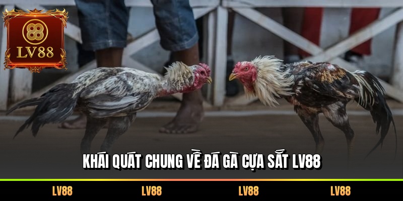 Khái quát chung về đá gà cựa sắt LV88
